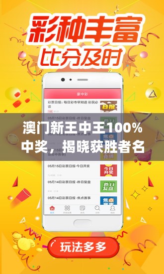 新澳门王中王100%期期中,全面释义、解释与落实