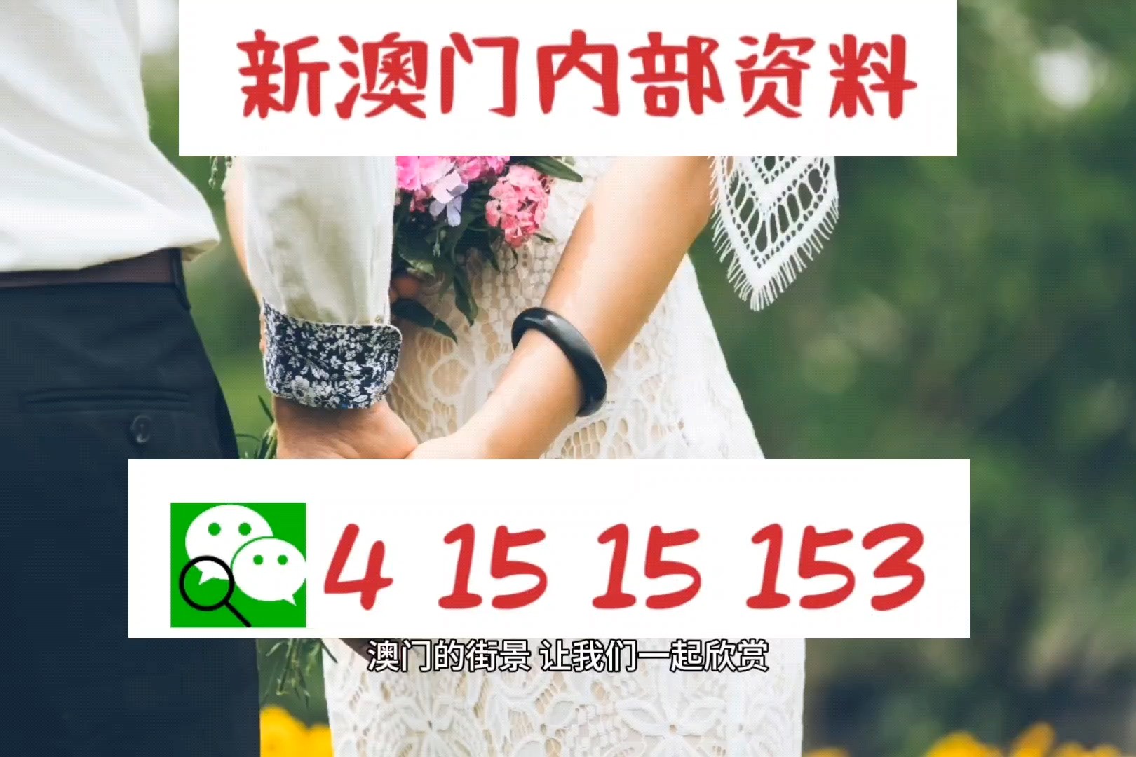 警惕虚假宣传，全面释义新澳门免费精准大全的真相