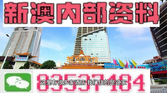 新澳门免费精准大全，全面释义解释落实